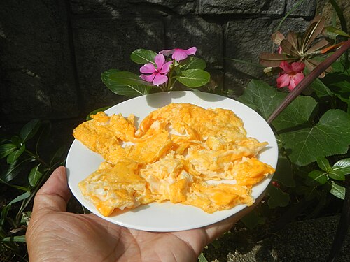 Basic Omelet