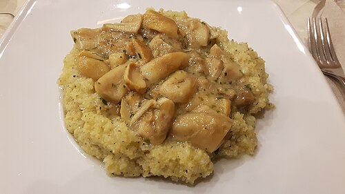 Polenta con Funghi