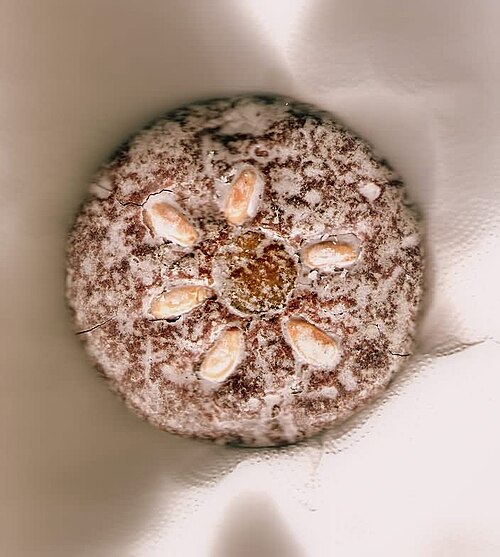 Nuremberg Gingerbread