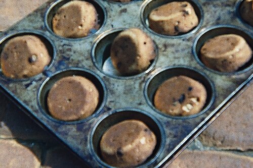 Raisin Oatmeal Muffins