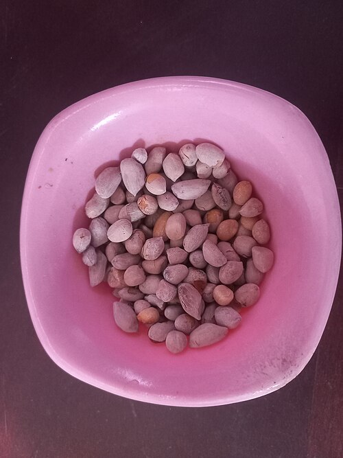 Sudanese Ful Medames