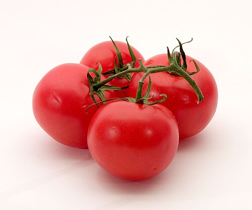 Tomato Pizza